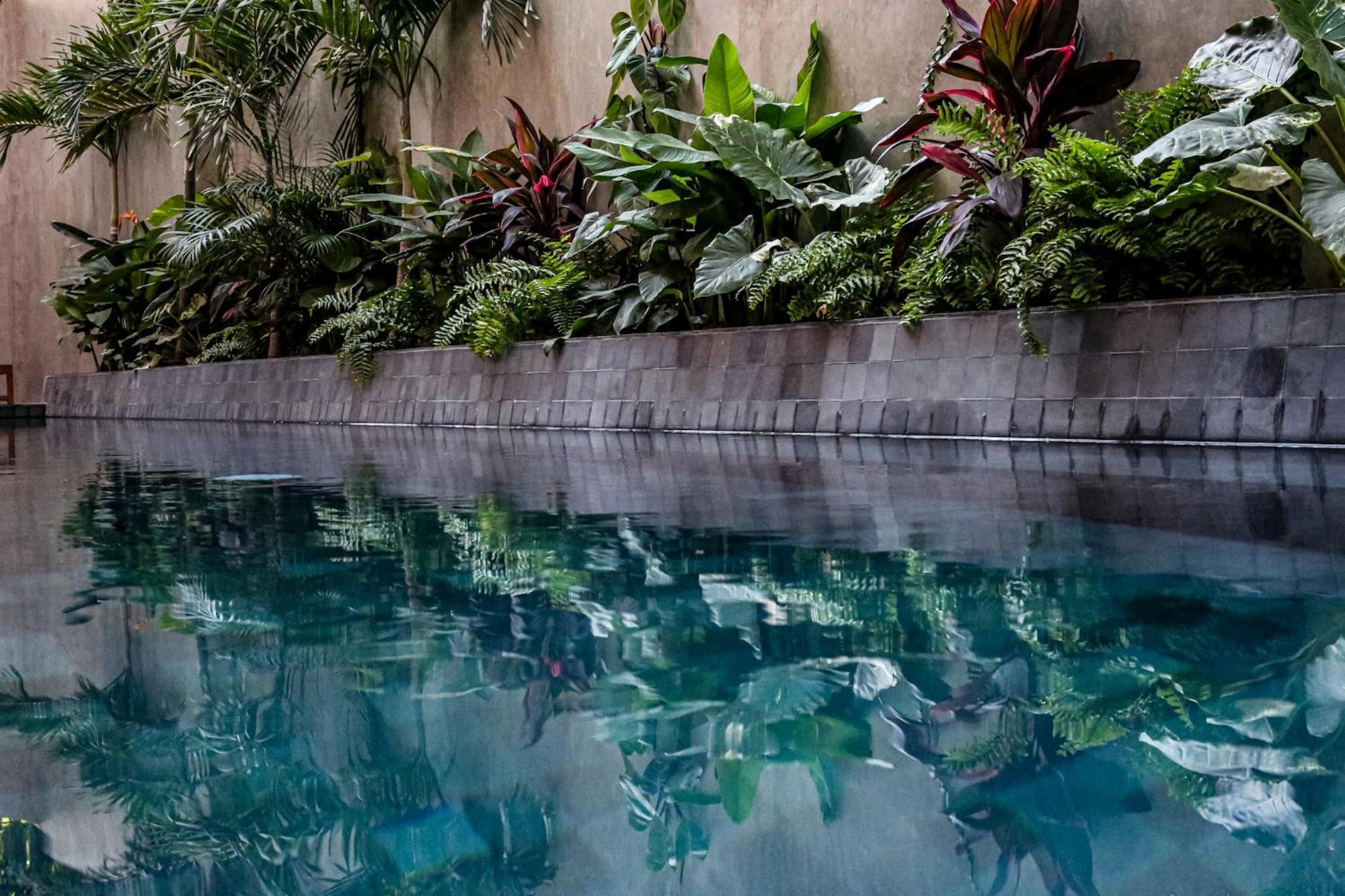 ホテル Casa Toro La Punta Brisas de Zicatela エクステリア 写真